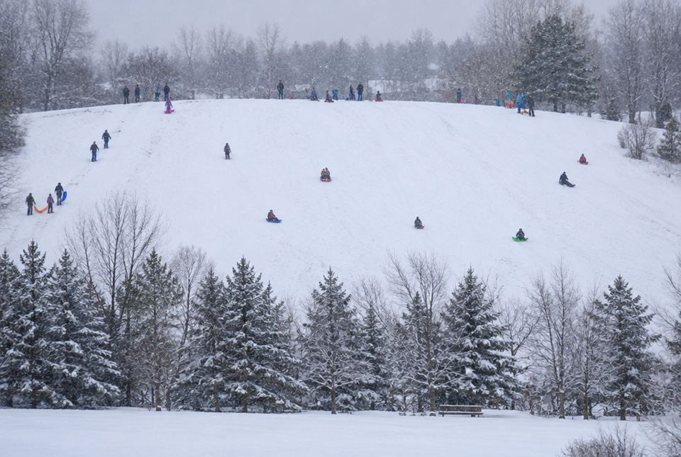 A snowy hill in a park during snowfall, with small figures sledding and colourful sleds.
